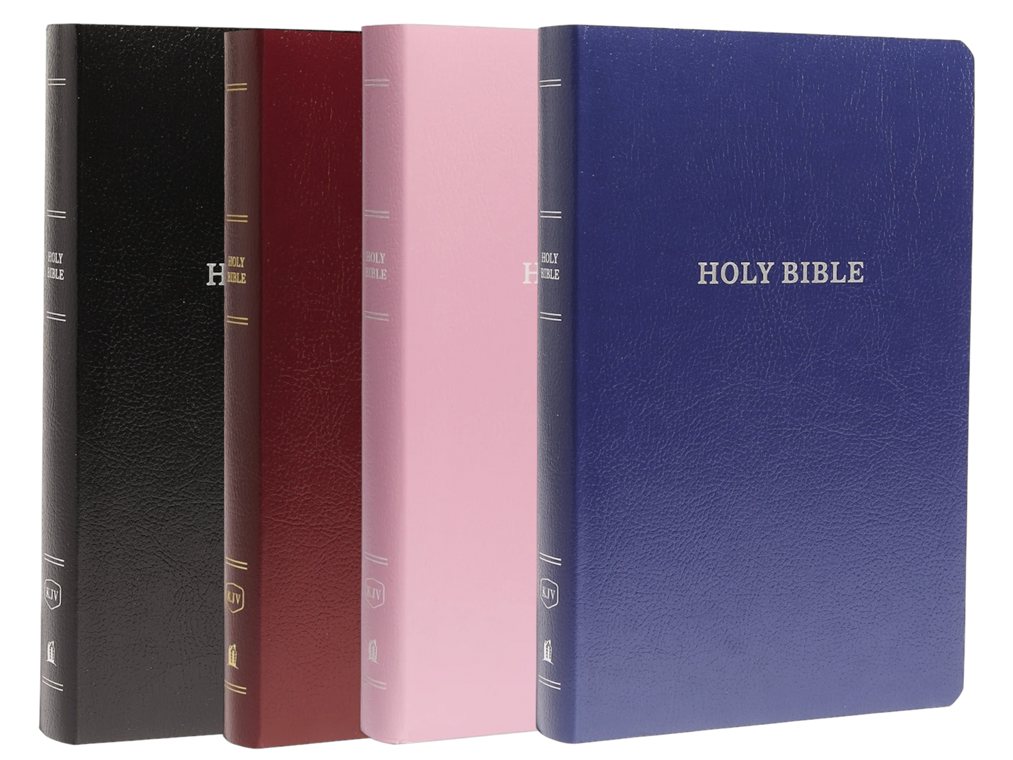KJV BIBLE